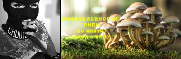 соль ск Кукмор
