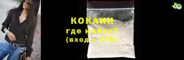 соль ск Кукмор