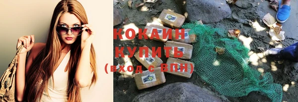 соль ск Кукмор