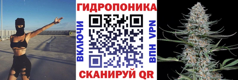 Марихуана планчик где найти наркотики Абаза